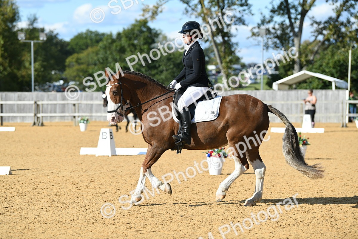 SBM_27119 - D16 - Small Tour Championship - Novice 28