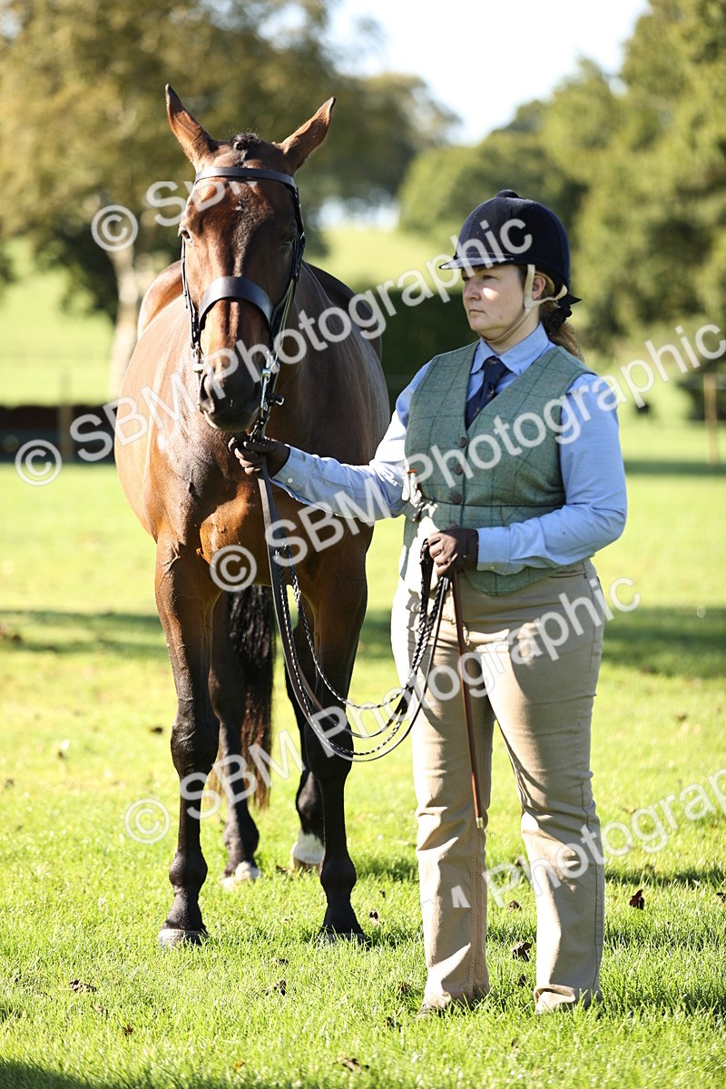 SBM_15778 - S1 - TSR in Hand Horse & Pony Showing