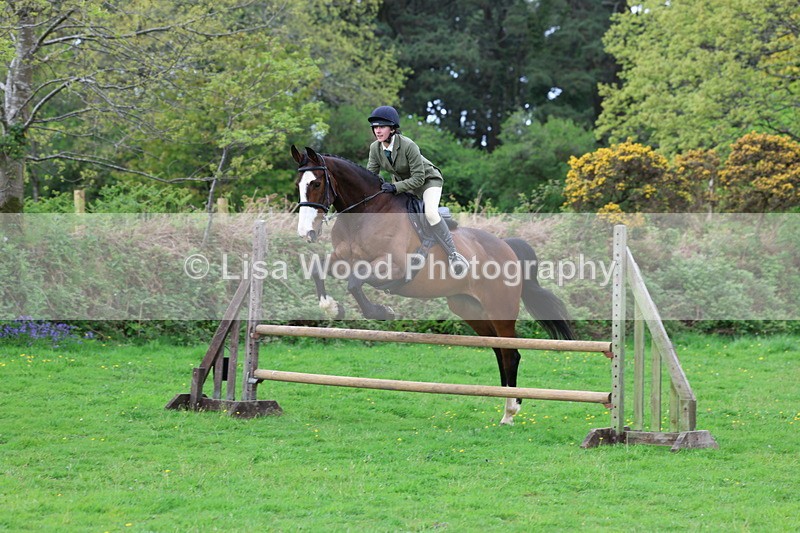 3E7A2485 - Classes 30 and 31: 80cm Working Hunter