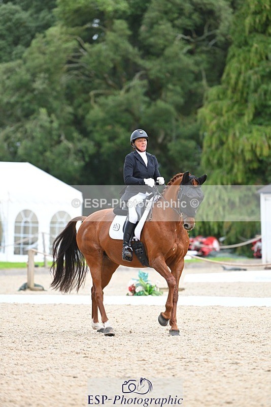 230813-143425-07792 - Cls 13 Medium Bronze 13.15 to End