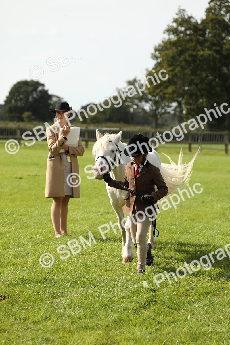SBM_67808 - S39 - Junior Handler 8  Years & Under