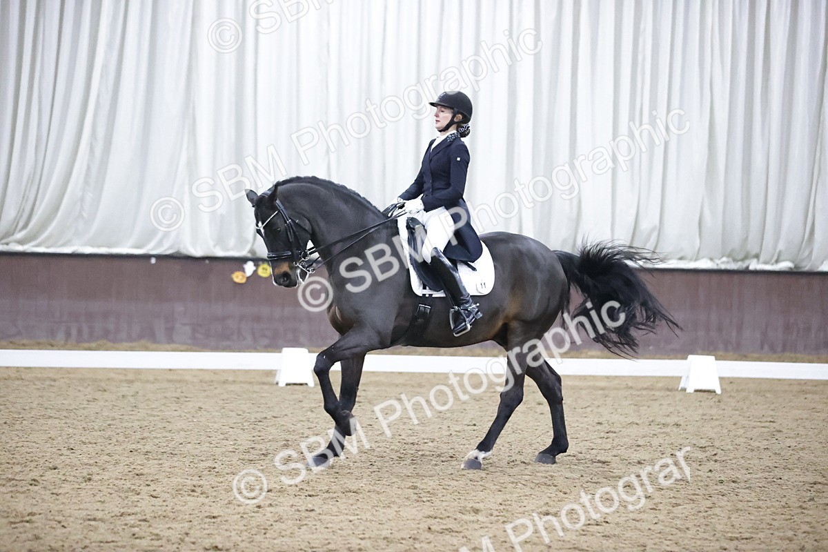 SBM_008985 - Class 16-17-19-21 - ADV 101-FEI PSG-FEI INT I-GP