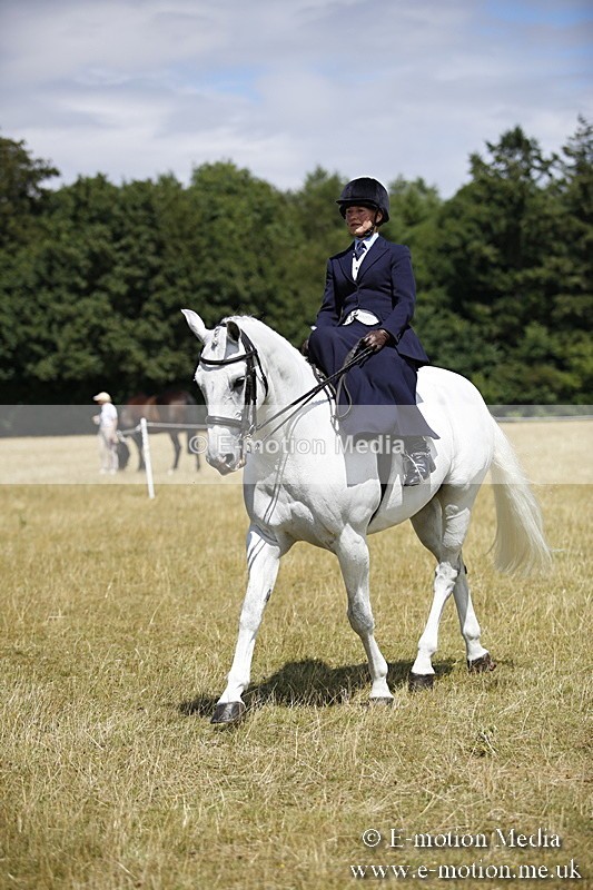 _C7A0232 - Side Saddle Classes BVRC Show 2018