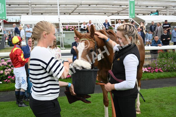 yr04092022r3-53 - Race 3 2.55pm The Elevator Company Garrowby Stakes