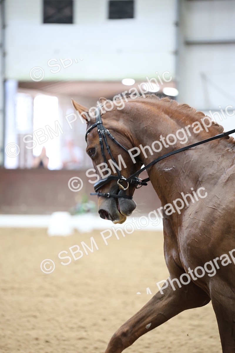 SBM_004371 - Class 9 - FEI Inter 1 Gold - 15.55-16.43