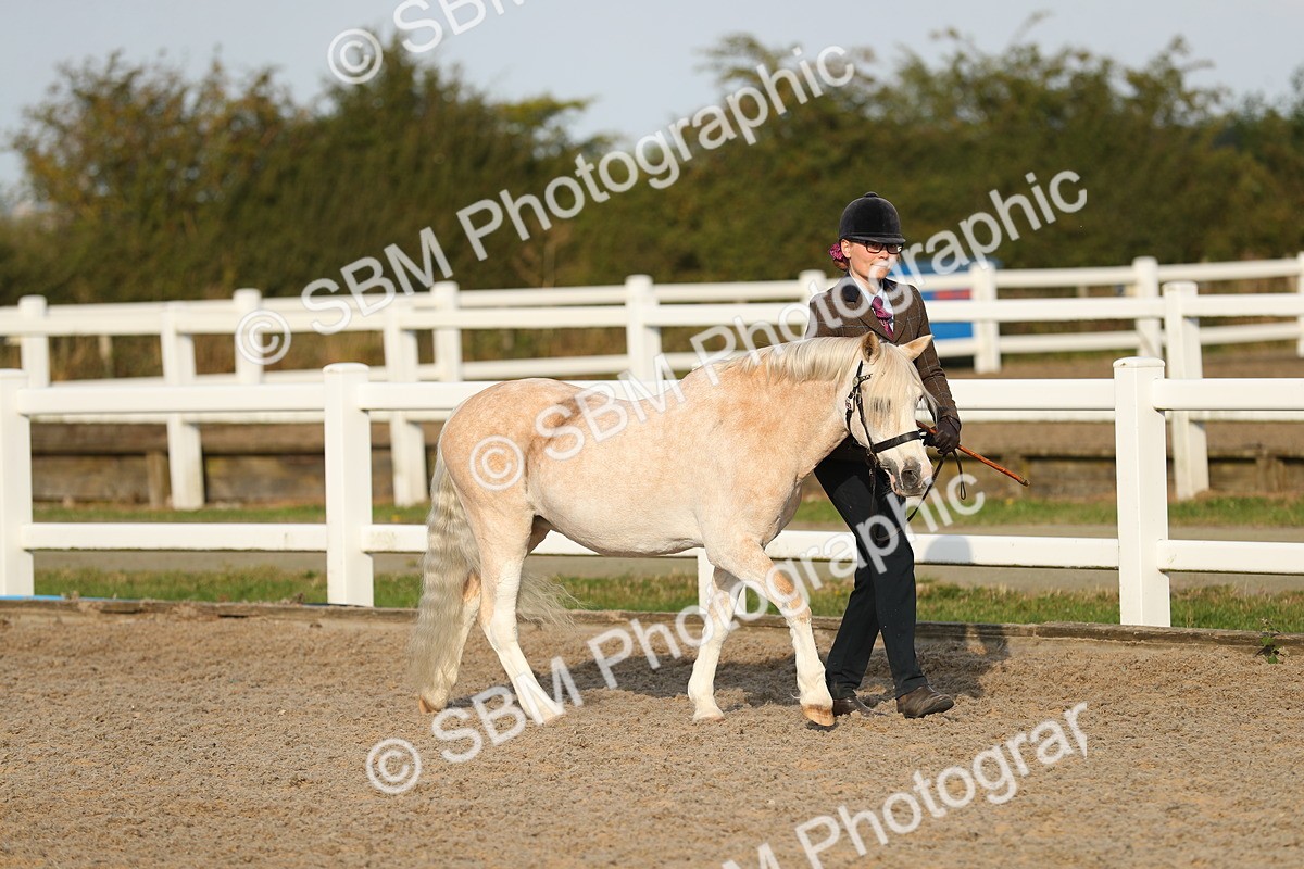 SBM_08899 - Class 29 IH Veteran Pony