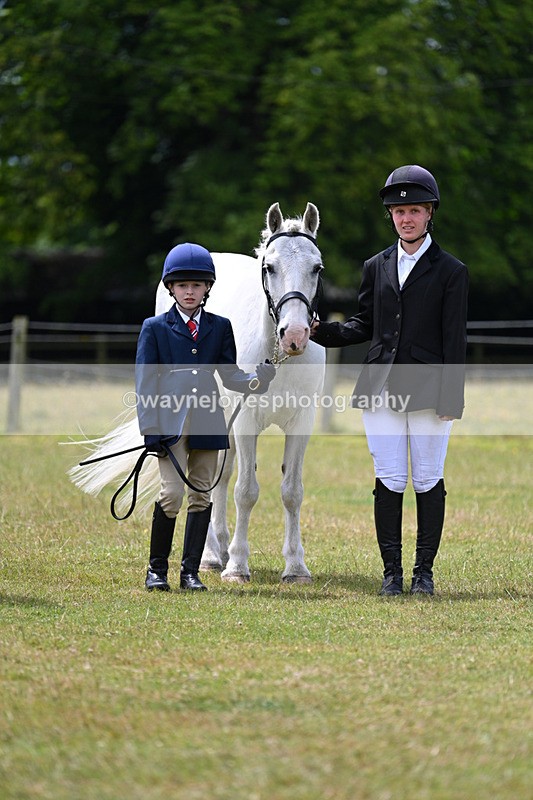 WJ7_6636 - Class 5 Handsome Gelding in hand