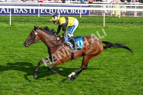 220825-Race 5-Cape Flora-7689 - Race 5 4.10pm Assured Data Protection EBF Fillies' Handicap
