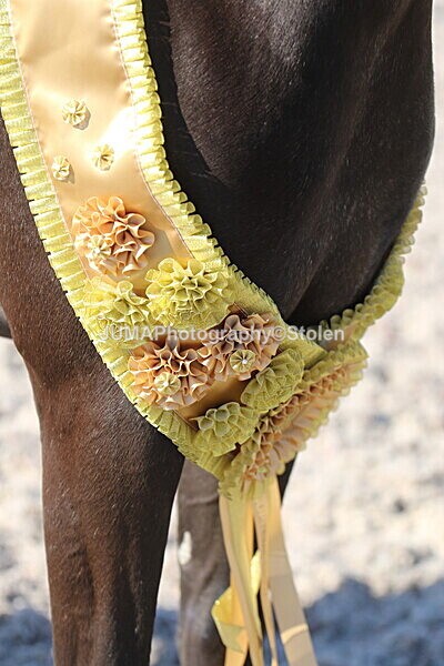 SIAL2385 - Outdoor championship & supreme