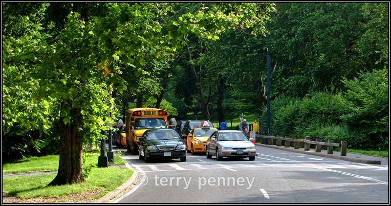 Central Park Rush Hour, New York - New York