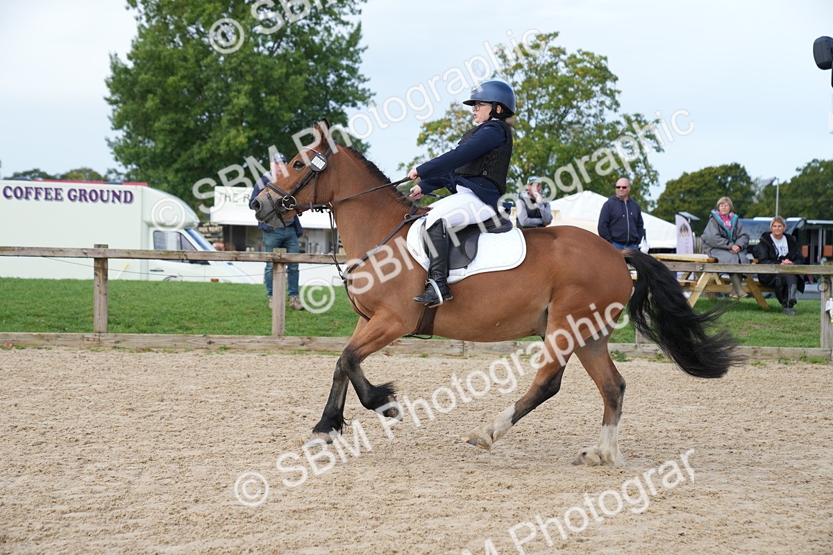 SBM_02552 - J55 - Clear Round 60cm