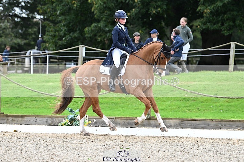 231019-130428-02929 - 049-AUGUSTUS.IMPERIOUS-Ines.Mitchell-DR