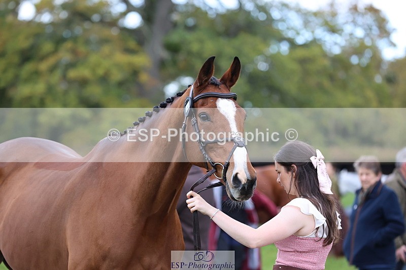 251026A-110141-23456 - G-563-Kirstin.Elisa.Evans