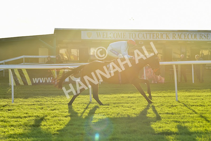 241123-Race 5-Bugise Seagull-7544 - Race 5