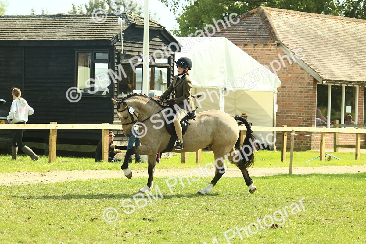 SBM_67621 - S56 - Coloured Pony Ridden