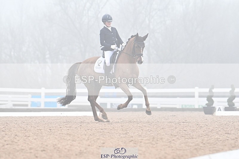 240217A-123333-02248 - 225-Lucy.Goodman-Queenie.S