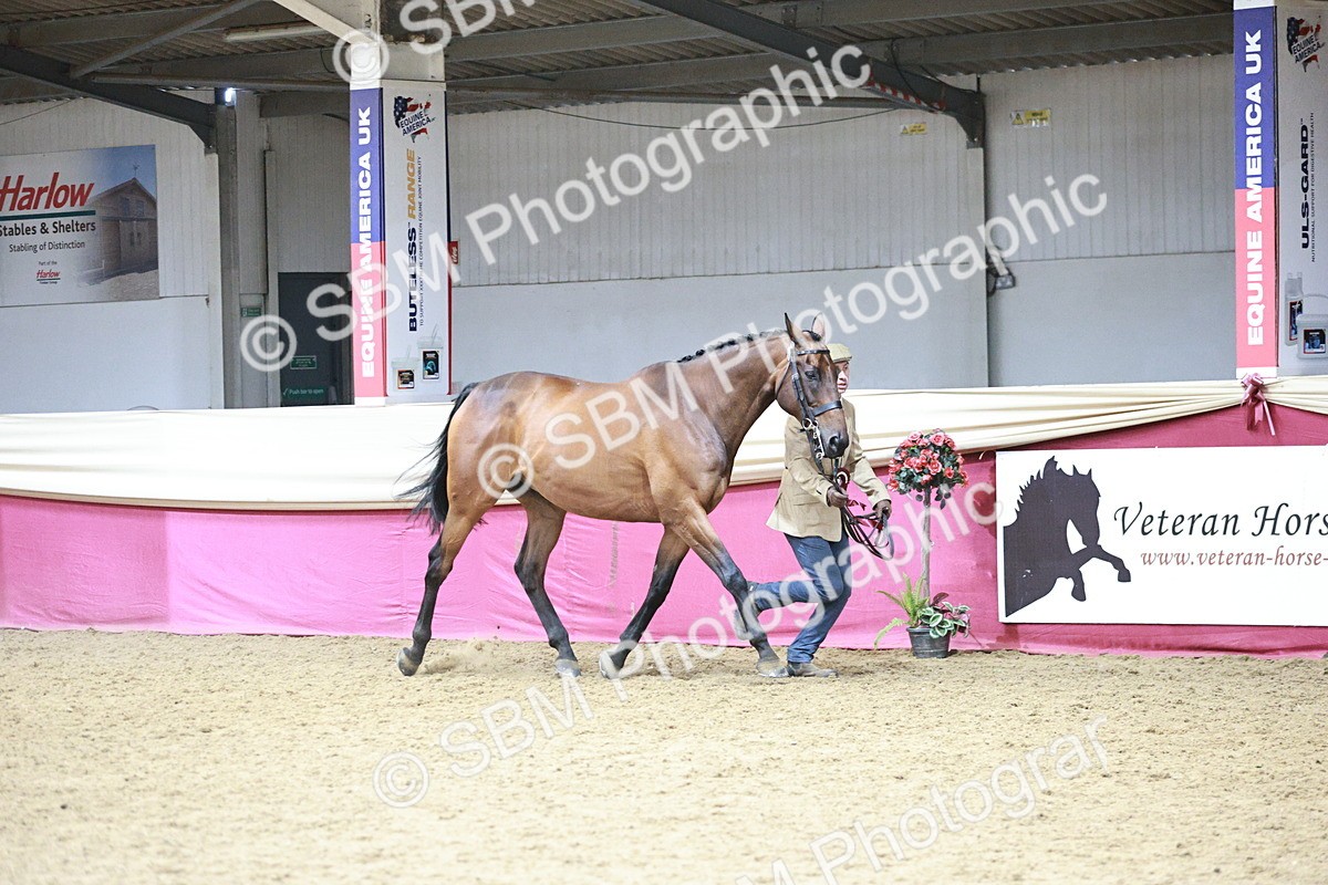 SBM_06629 - Regional - IH Champs