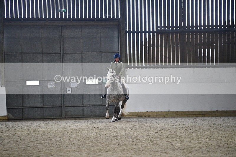 WJ5_8219 - Class 14 Novice Ridden/Rider