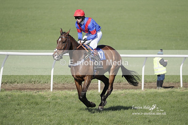 PtP 100423 1043 - Old Berkshire Point-to-Point Lockinge 10/04/23