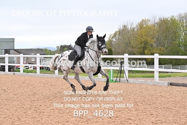 BPP_4628 - CLASS 20 SUN British Novice/90cms Open