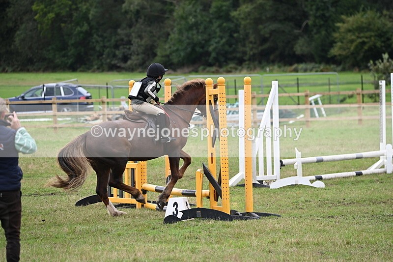 WJ6_0284 - 40cm Time 10:00 to 10:28
