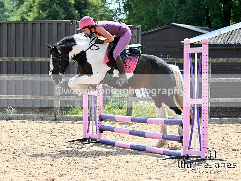 WJ7_6682 - Show Jumping at BCA