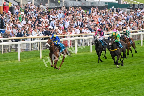 250725-Race 2-Rock N Roll Pinkie-5461 - Race 2 6.03pm Elevator Company Handicap