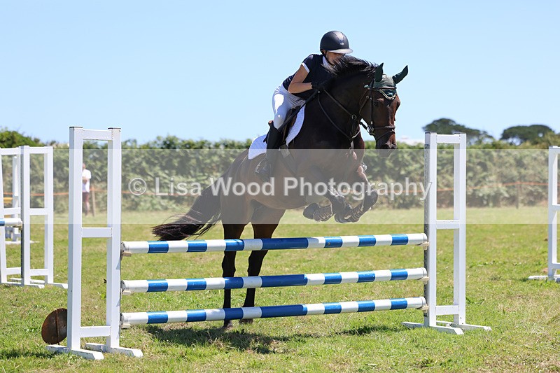 3E7A5516 - Class 9: Senior British Novice/90cm open