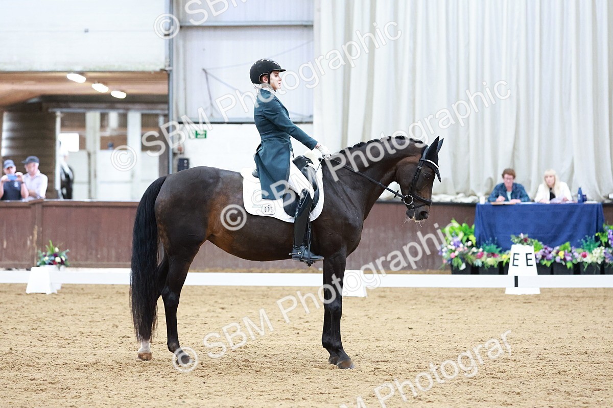SBM_020197 - Class 12 - FEI PSG - 14.12-15.00