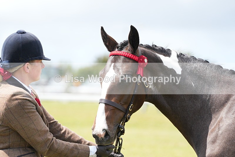 DSC06795 - Class 59: Coloured Horse Youngstock