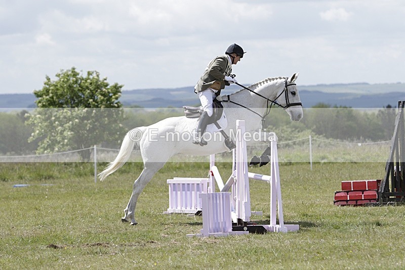 BVHT 140517 N-229 - Class 2 SJ Novice 14/05/17