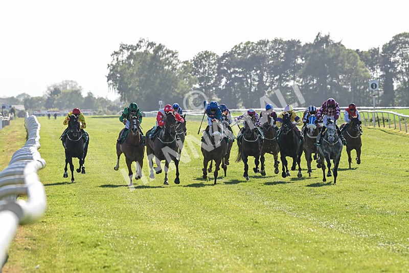 170525-Race 8-So Grateful-8979 - Race 8