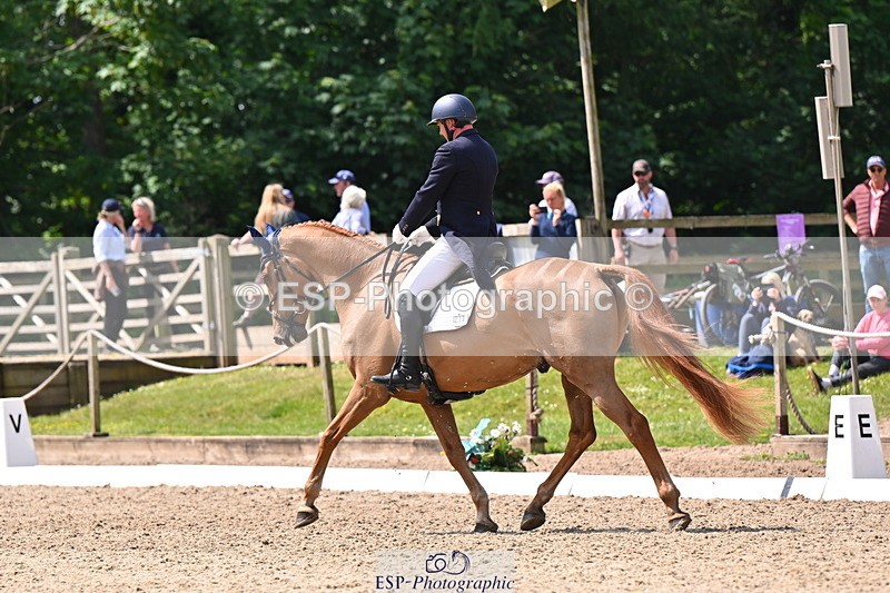 250523A-113541-06592 - C-273-Tim.Cheffings-HEARSAY.LARK.RISING