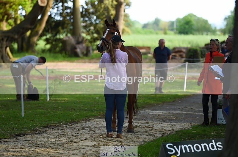 230525-173132-01496 - 323-CHESTNUT_BOBBY-Molly_Fletcher-WEDTrotUp+DR