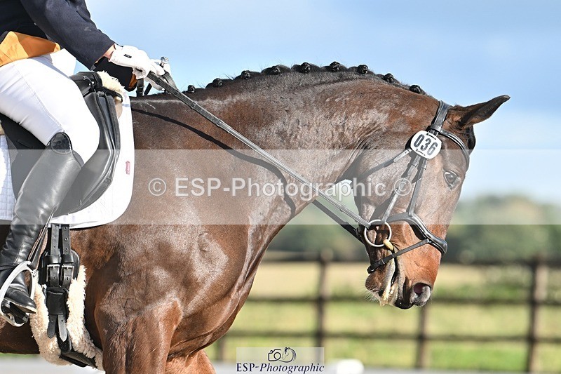 231105-125349-01228 - Cls 3 Prelim 12 12.40 to End