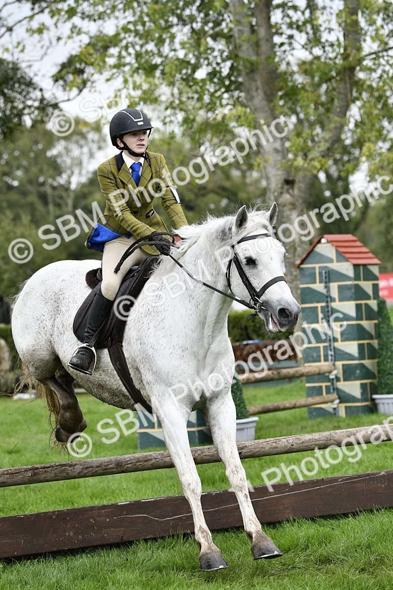 SBM_42258 - S32 - Mountain & Moorland Working Hunter Pony