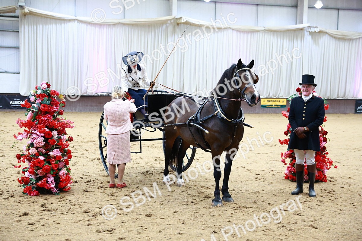SBM_000223 - Class 3 - Alison Thomas Memorial Lady Whip