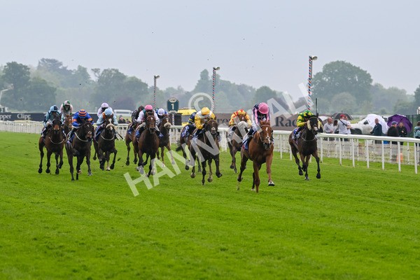 150524-Race 1-Crystal Delight-3546 - Race 1 2.15pm Sky Bet Race To The Ebor Jorvik Handicap