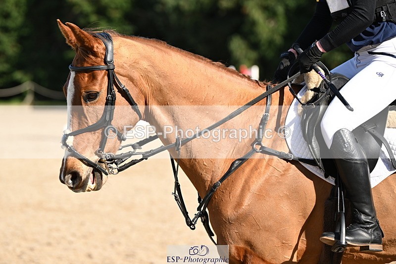 250302A-124000-01985 - Cls 02 80-85cm