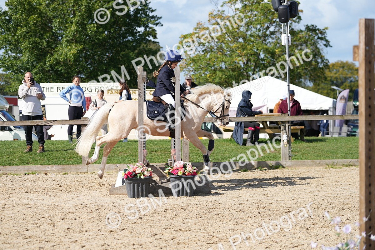 SBM_17967 - J58 - Clear Round 50cm