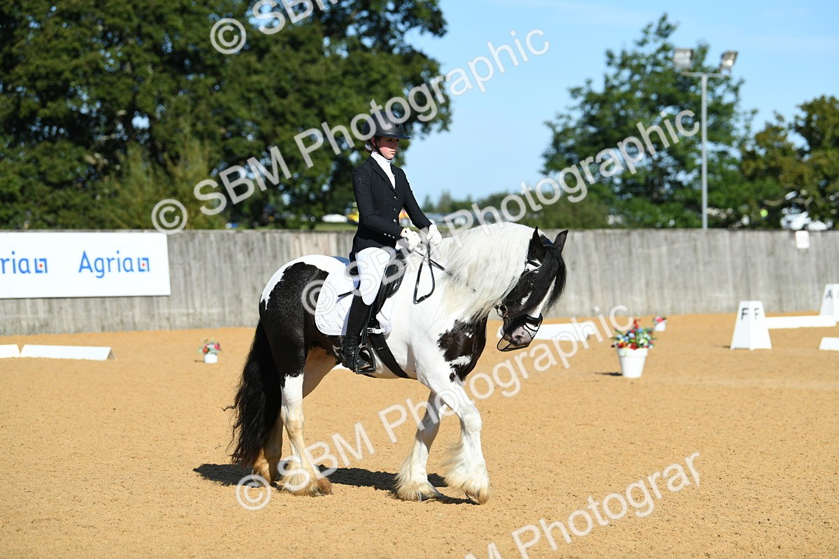 SBM_16289 - D4 - Small Tour Championship - Intro B