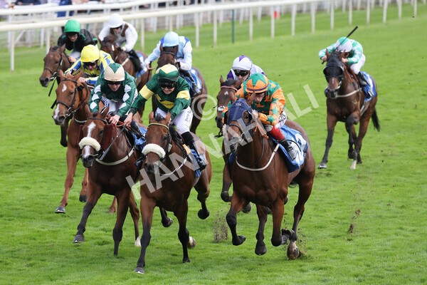yr24092021r7-11 - Race 7 4.55pm William Hill Free or Four Fillies' Stakes