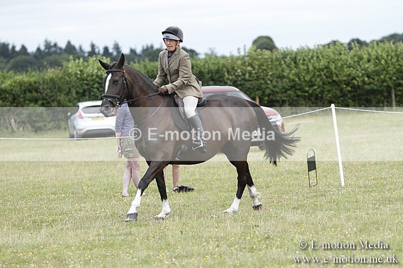 BVR160717-1798 - Ring 3 BVRC Show 16/07/17