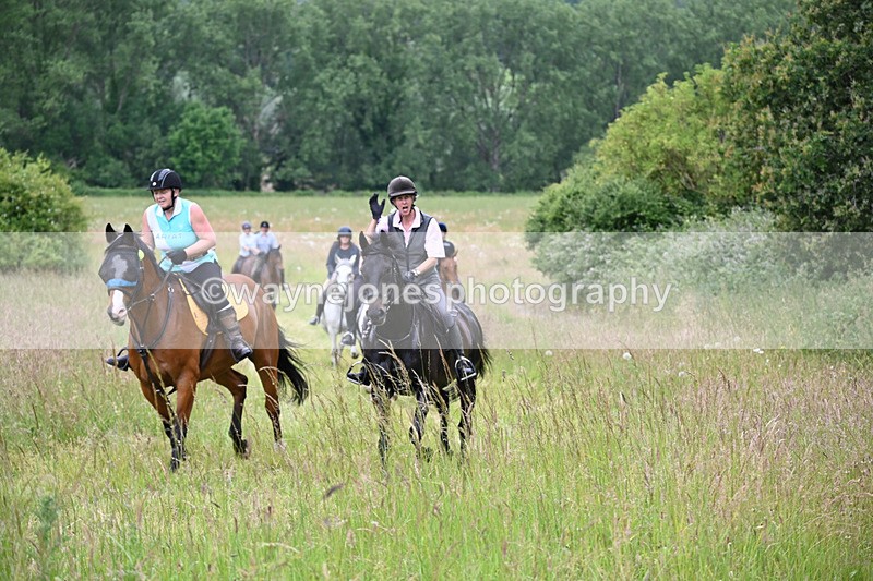 WJ6_8380 - Camera 1 Gallops