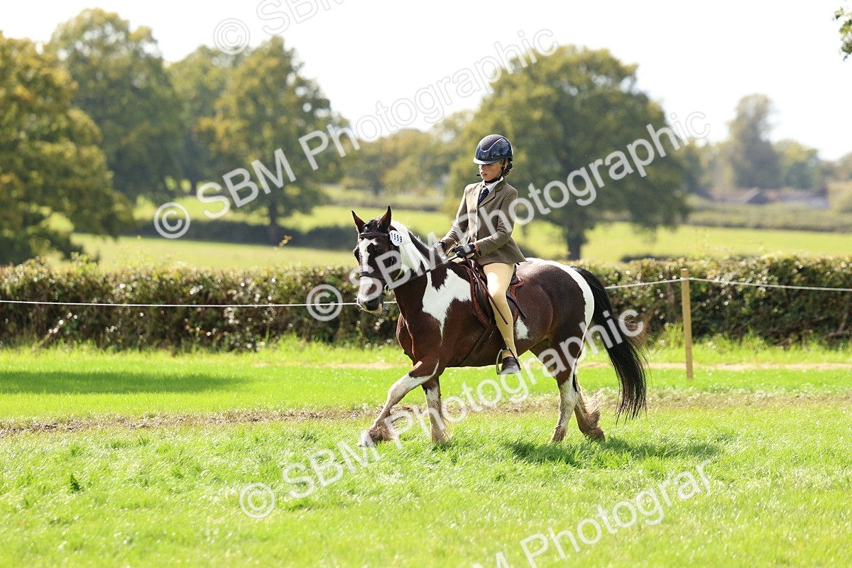 SBM_45244 - S27 - Young Veteran Ridden