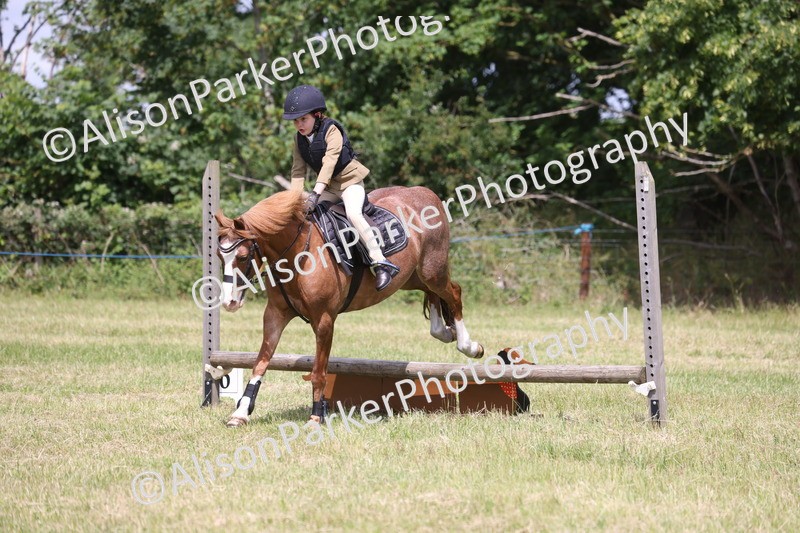 20260614-2002 - Class 21 - Novice Working Hunter Pony