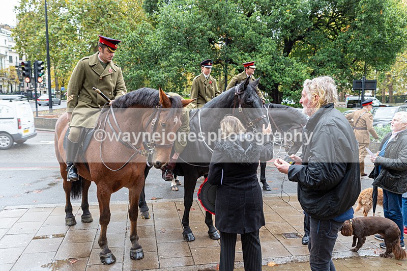 NGP_7069 - Animals In War Memorial - 10-11-23