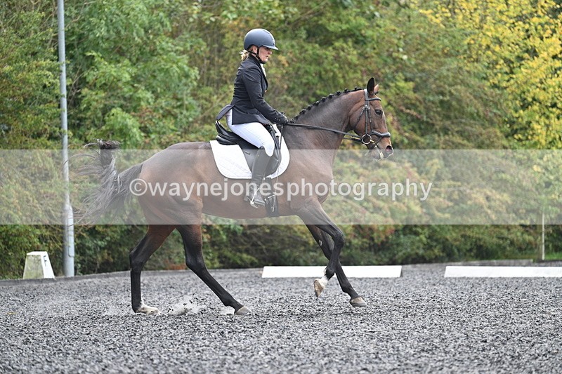 WJ7_3901 - Time 11:04 to 11:38