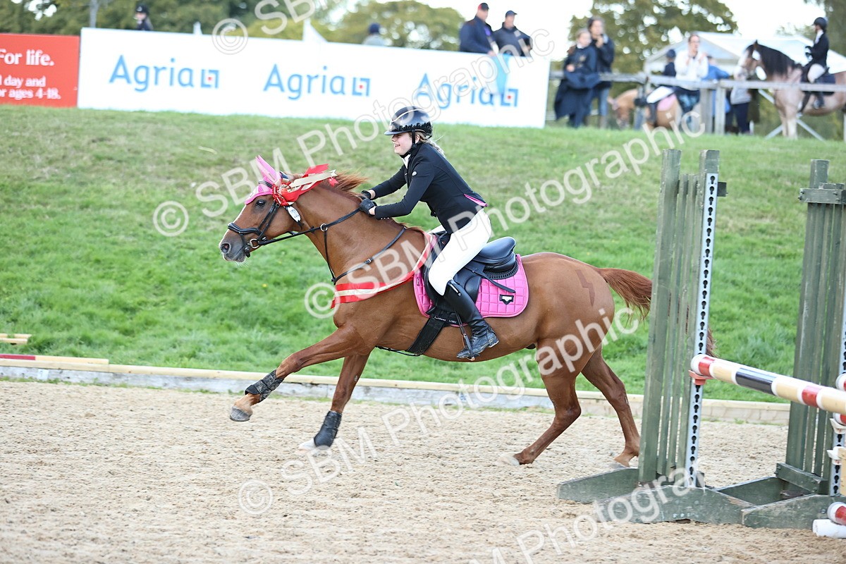 SBM_54434 - Supreme Championship 70cm 75cm