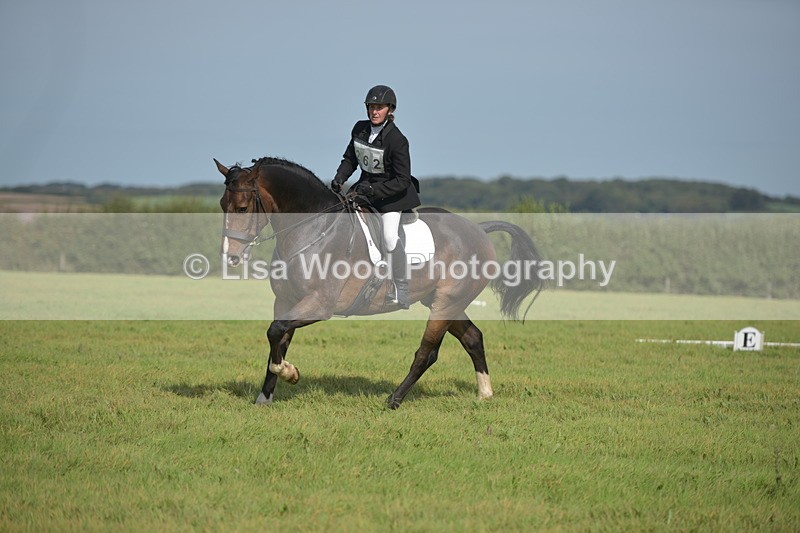 RAY_7961 - Class 2B: Trekenning Open: Dressage